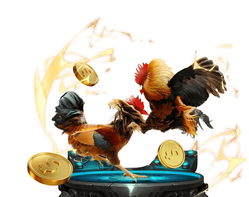 Nền tảng đá gà 67 uy tín